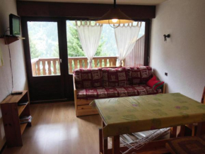 Résidence Ancolie - Hauts De Planchamp - Studio pour 6 Personnes MAE-3324